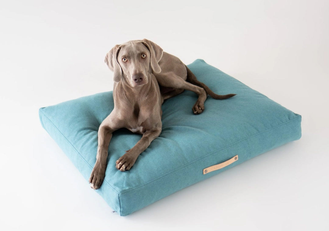 Labbvenn Scandinavian dog beds and luxury pet accessories — handcrafted in Poland with natural materials, available at Sostter