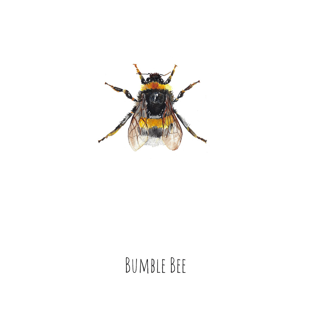 Bumblebee Watercolour Fine Art Print