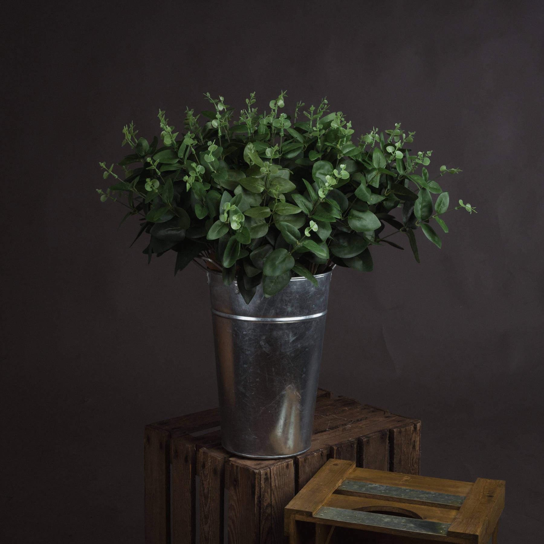 Dark green cineraria eucalyptus spray with lifelike plastic leaves, 62cm tall, for home decor and floral arrangements. by RoomLondon at brixbailey.com