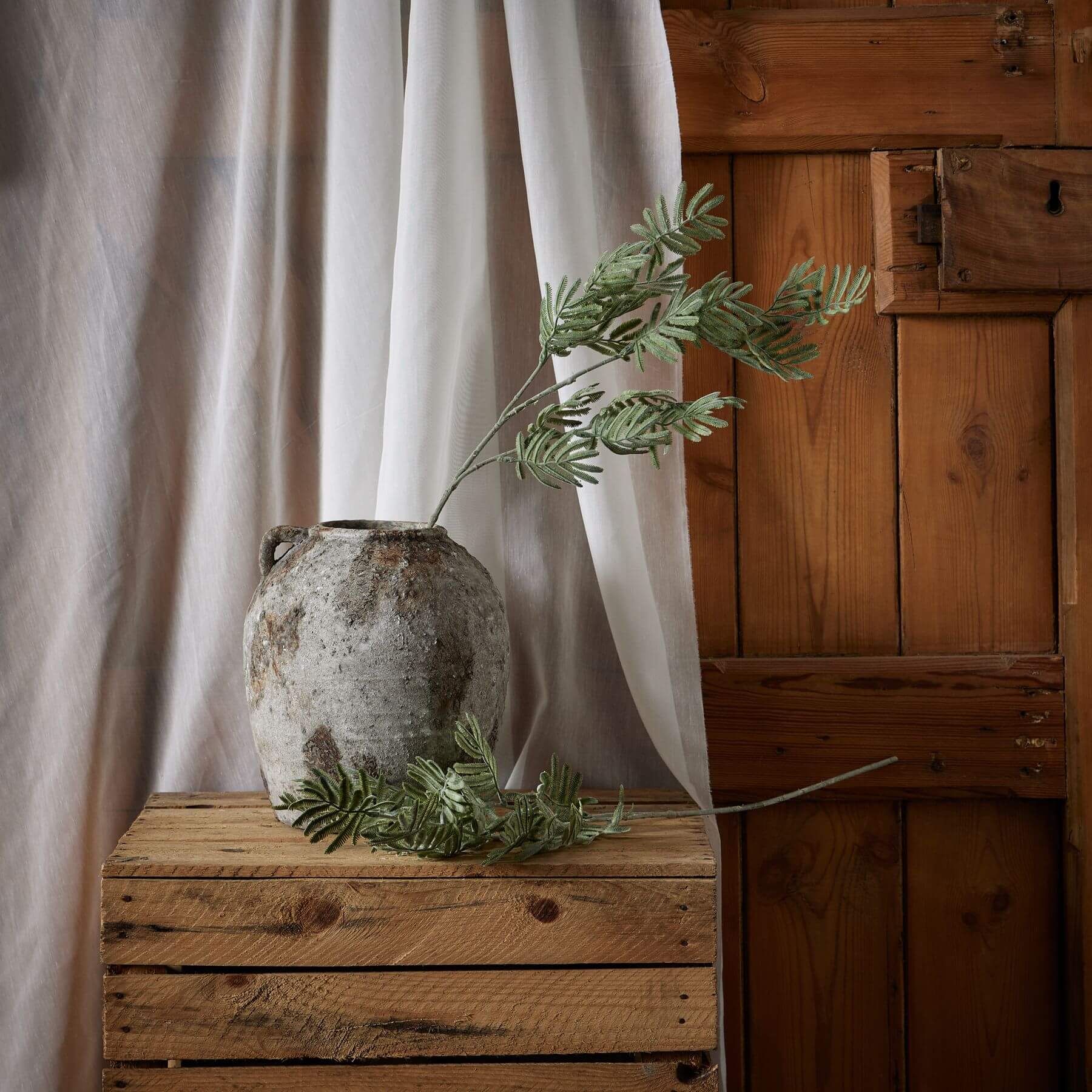 Lifelike artificial Silver Wattle Leaf stem with silvery-green hues and feathery texture, 73cm high, for home decor  by sostter at brixbailey.com