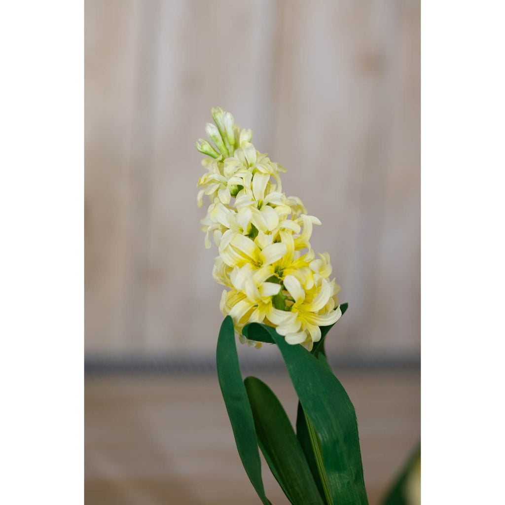 a close-up detail shot of a yellow hyacinth stem showing its realistic texture and construction
