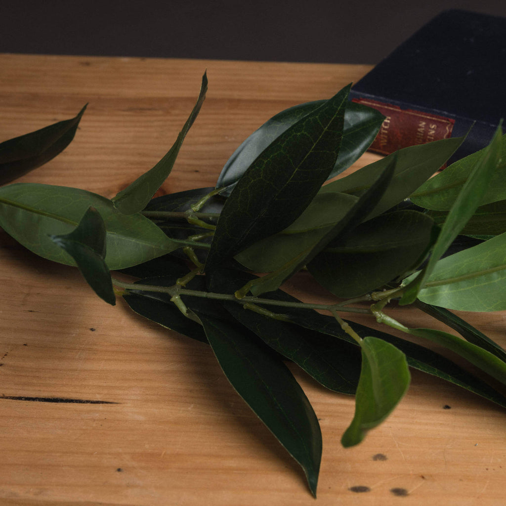 Lifelike faux bay leaf spray with emerald green leaves for Mediterranean decor, 75cm tall, maintenance-free artificial greenery by RoomLondon at brixbailey.com