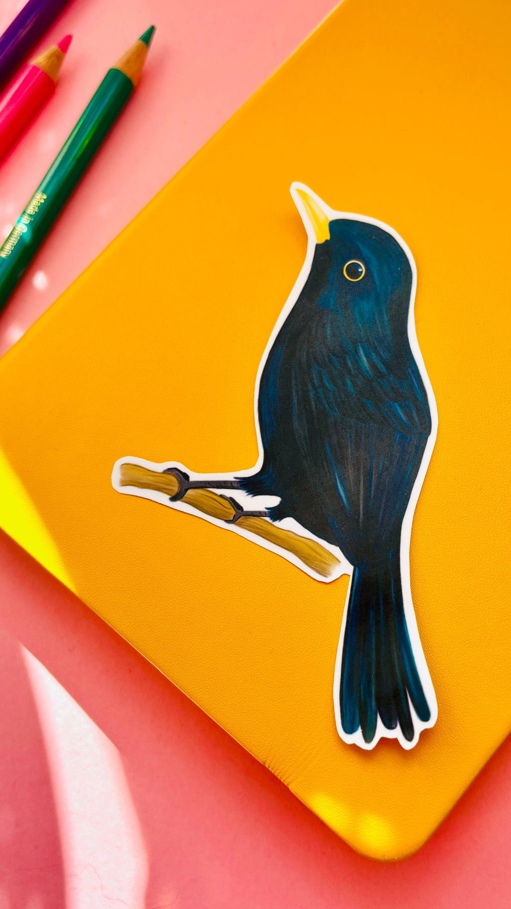 Blackbird Vinyl Sticker British Wildlife Art Waterproof