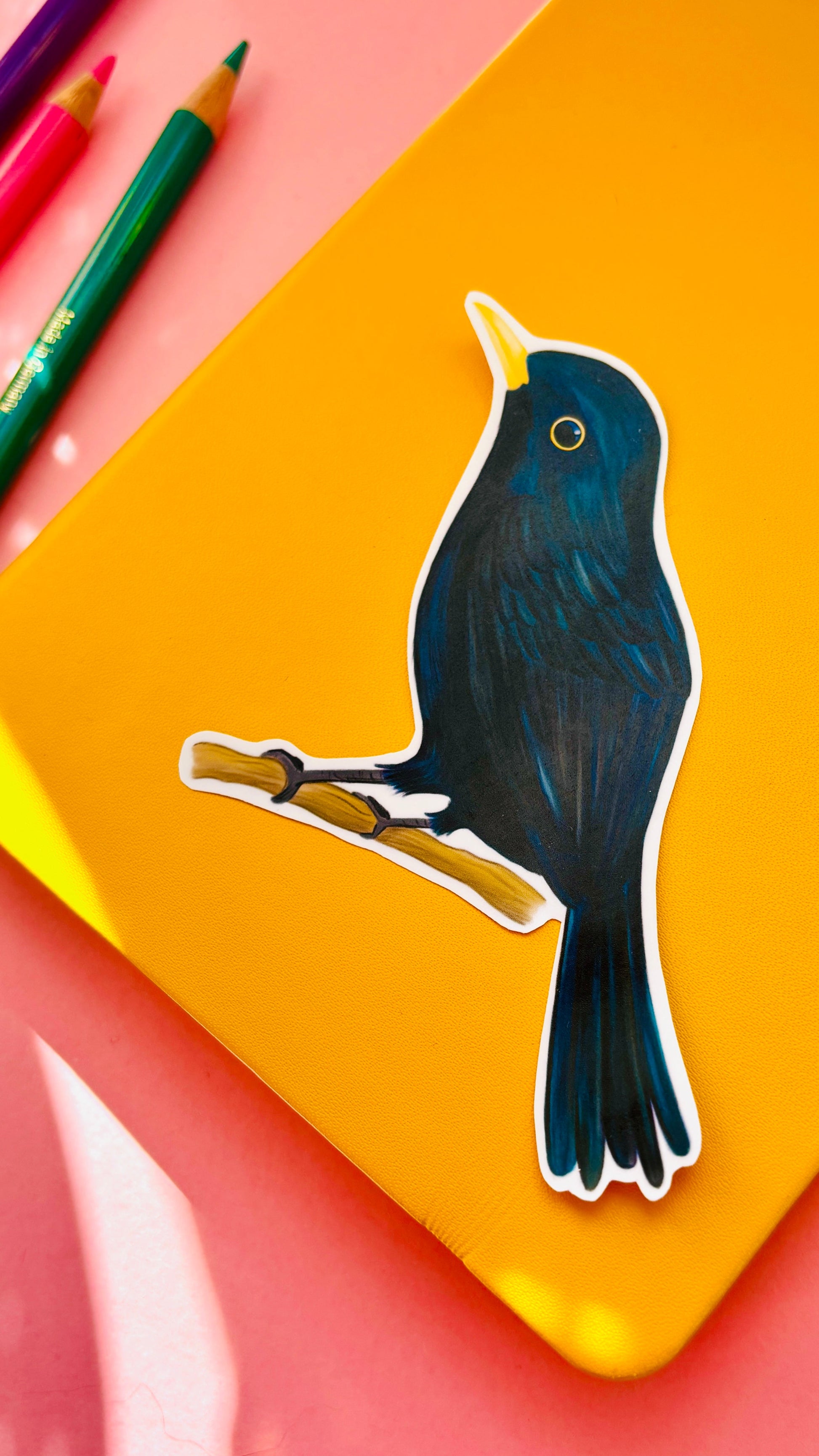 Blackbird Vinyl Sticker British Wildlife Art Waterproof