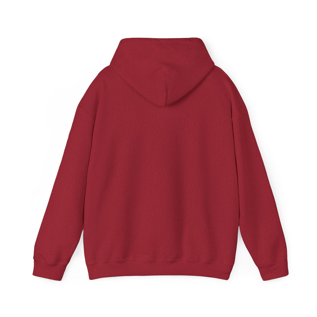 Money Can't Buy Happiness But It Can Buy Vinyl Men's Hoodie