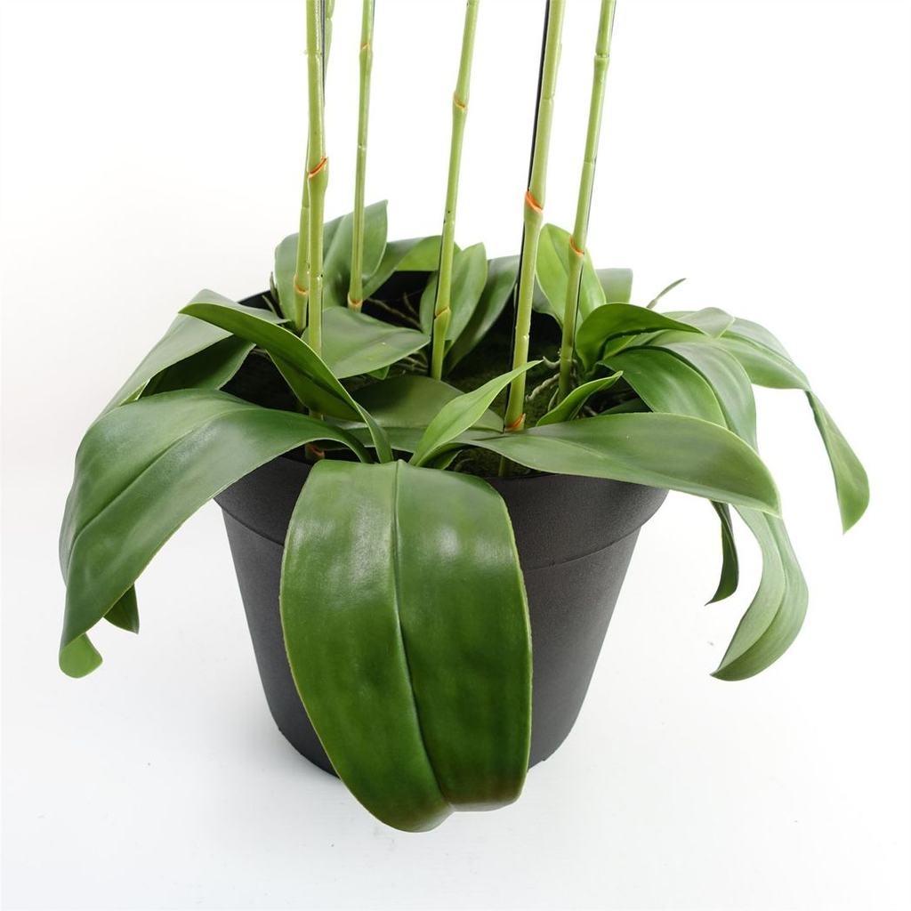 150cm Giant Pink Orchid Plant Artificial 189 Real Touch Flowers