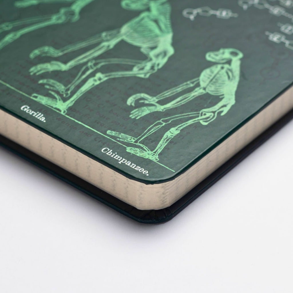 Evolution and Genetics A5 Hardcover Notebook