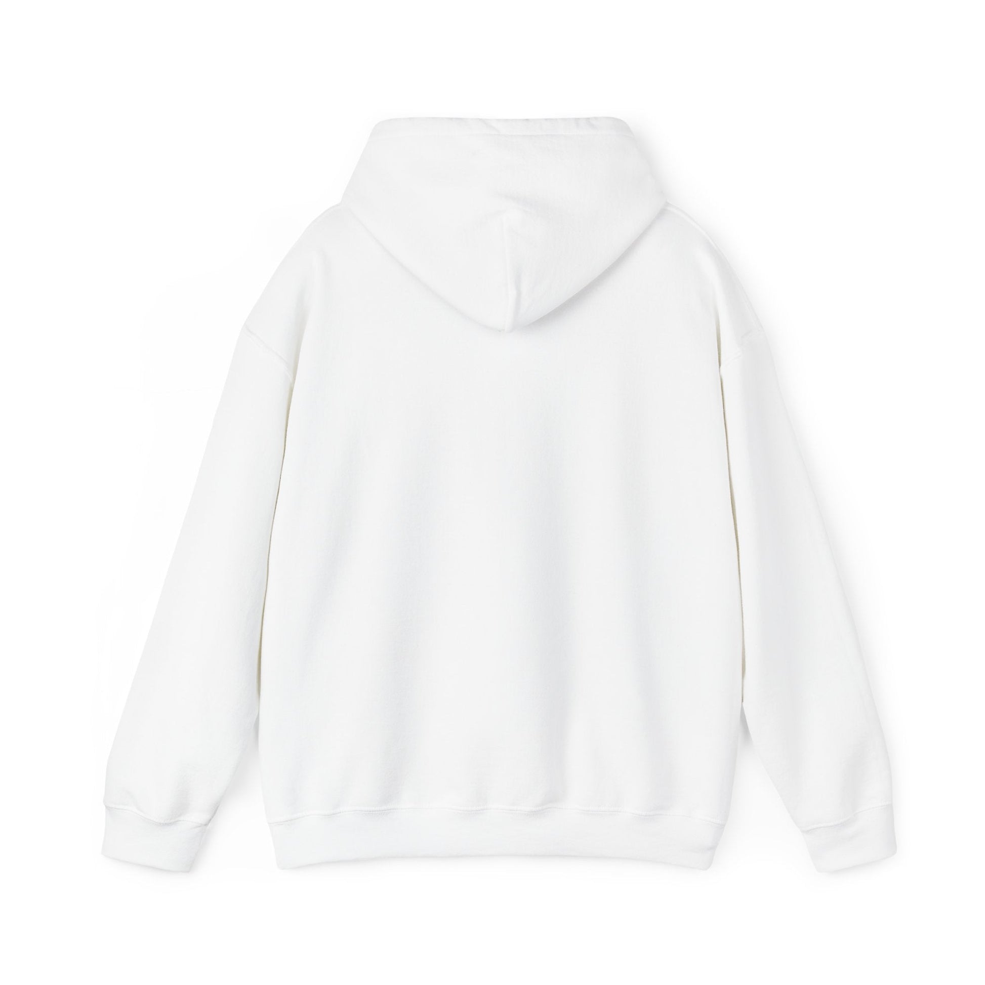 Just an Analog Guy in a Digital World Hooded Sweatshirt