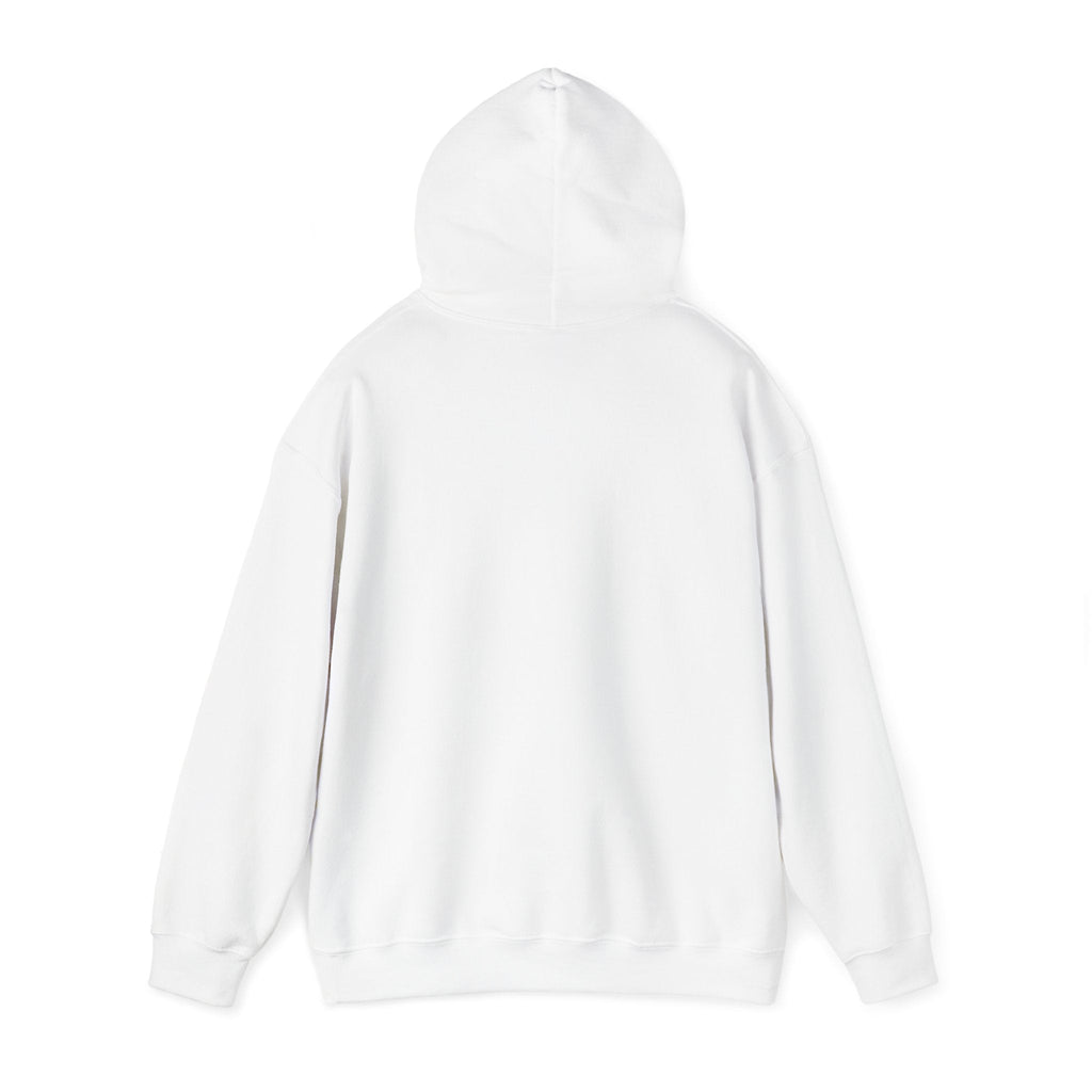 Money Can't Buy Happiness But It Can Buy Vinyl Men's Hoodie