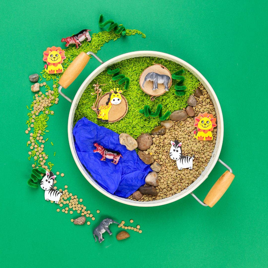 Safari Sensory Play Kit for Kids