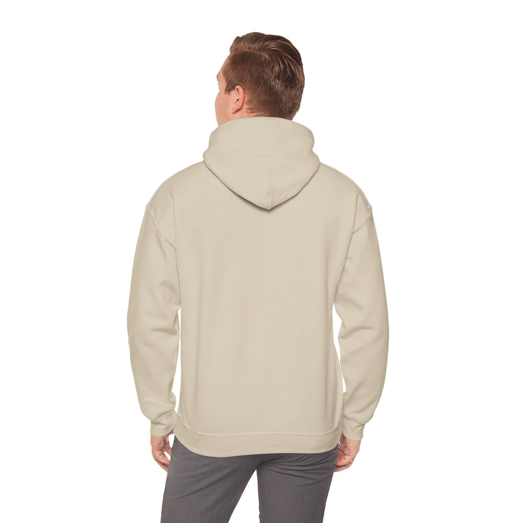 Money Can't Buy Happiness But It Can Buy Vinyl Men's Hoodie
