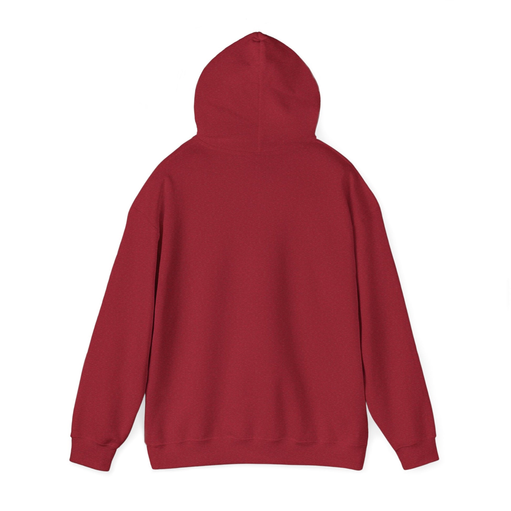 Just an Analog Guy in a Digital World Hooded Sweatshirt