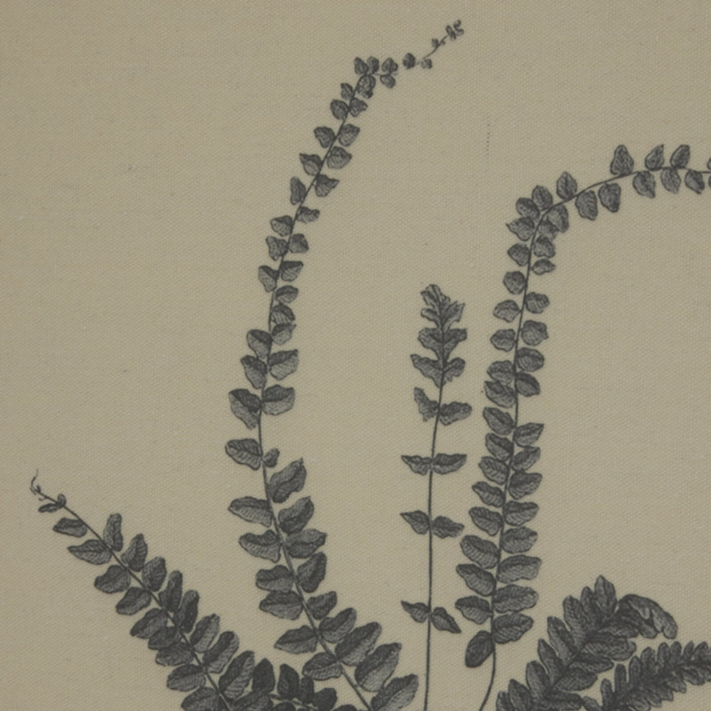 Exquisite spleenwort fern botanical print on linen with ornate beaded frame, 50x40cm, neutral tones by RoomLondon at brixbailey.com