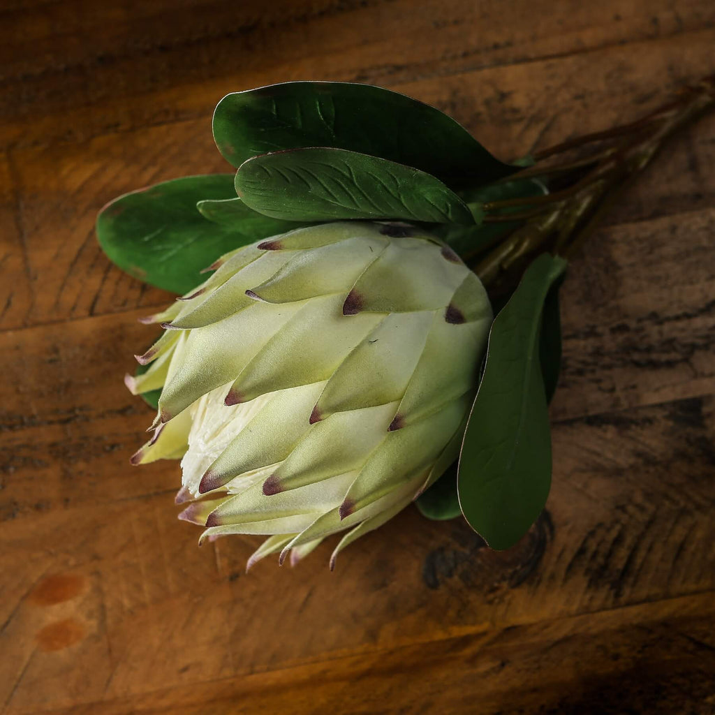 Handcrafted white faux protea stem with ultra-realistic petals, 73cm tall, for zero-maintenance luxury decor. by sostter at brixbailey.com