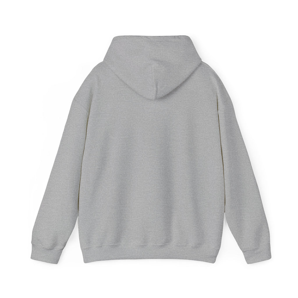 Just an Analog Guy in a Digital World Hooded Sweatshirt