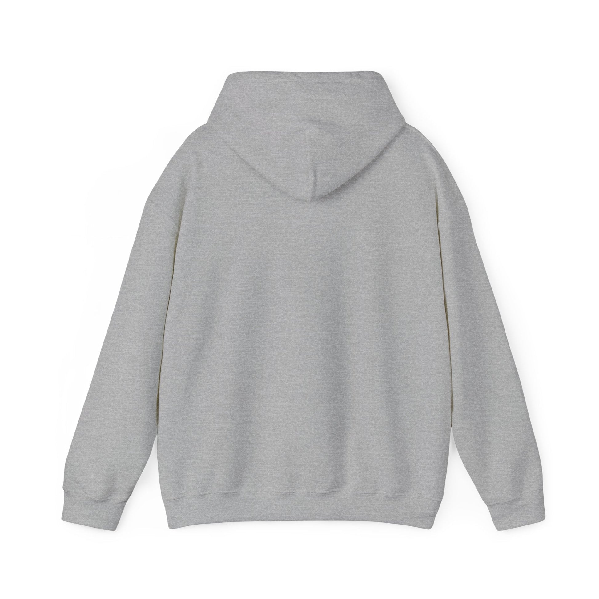 Just an Analog Guy in a Digital World Hooded Sweatshirt