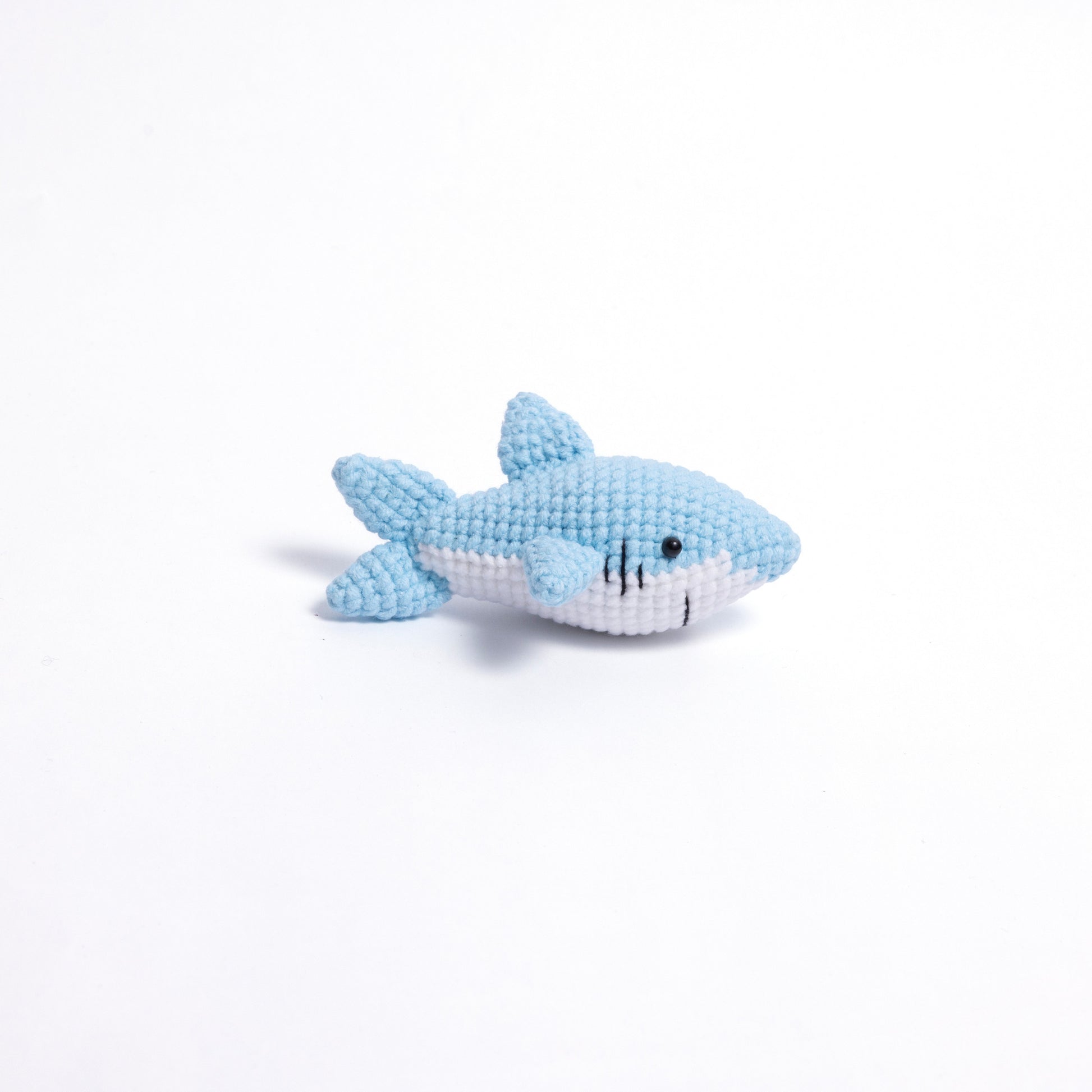 Shark Swimming Companion