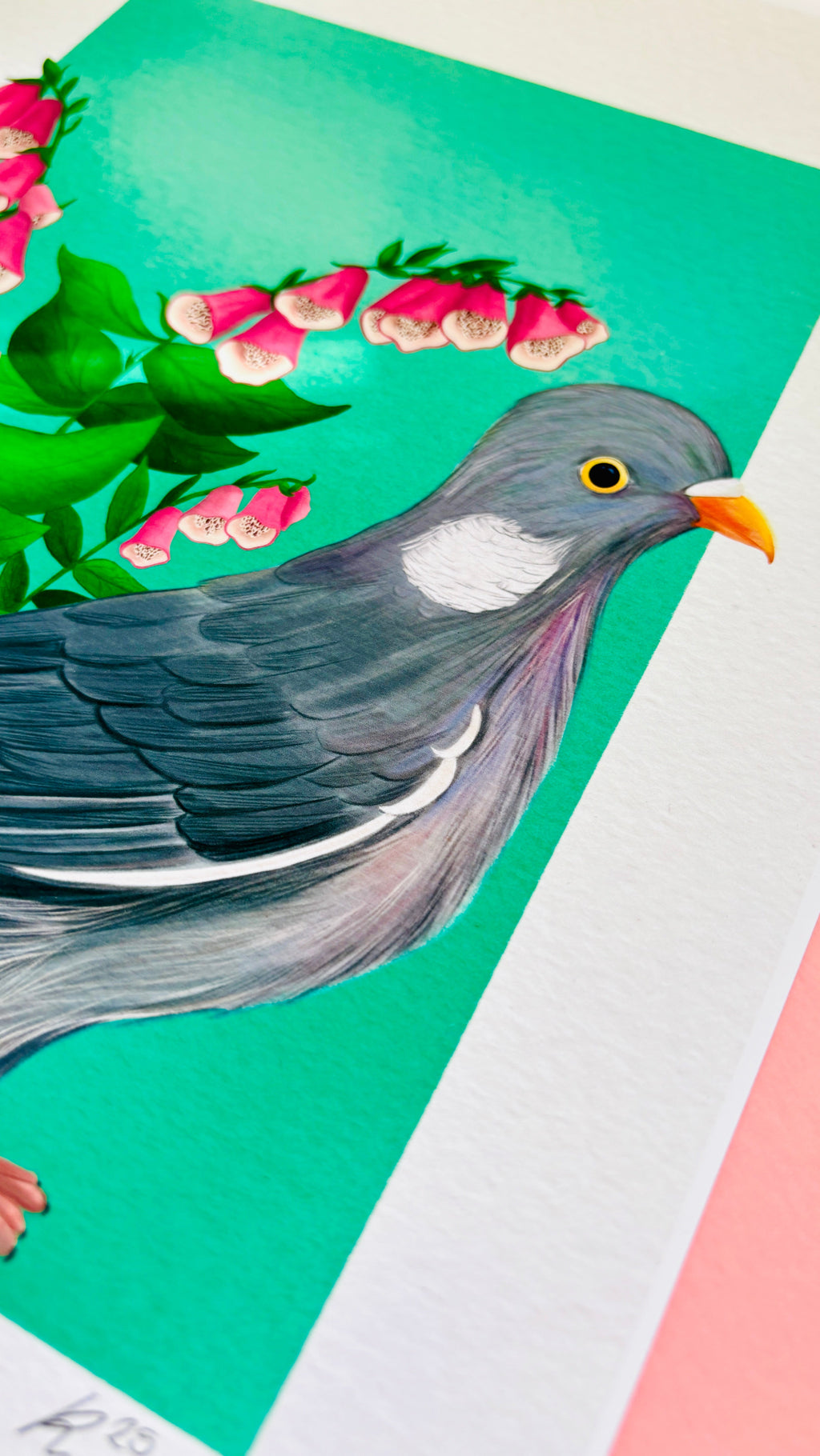 Wood Pigeon and Foxglove Art Print British Wildlife Illustration