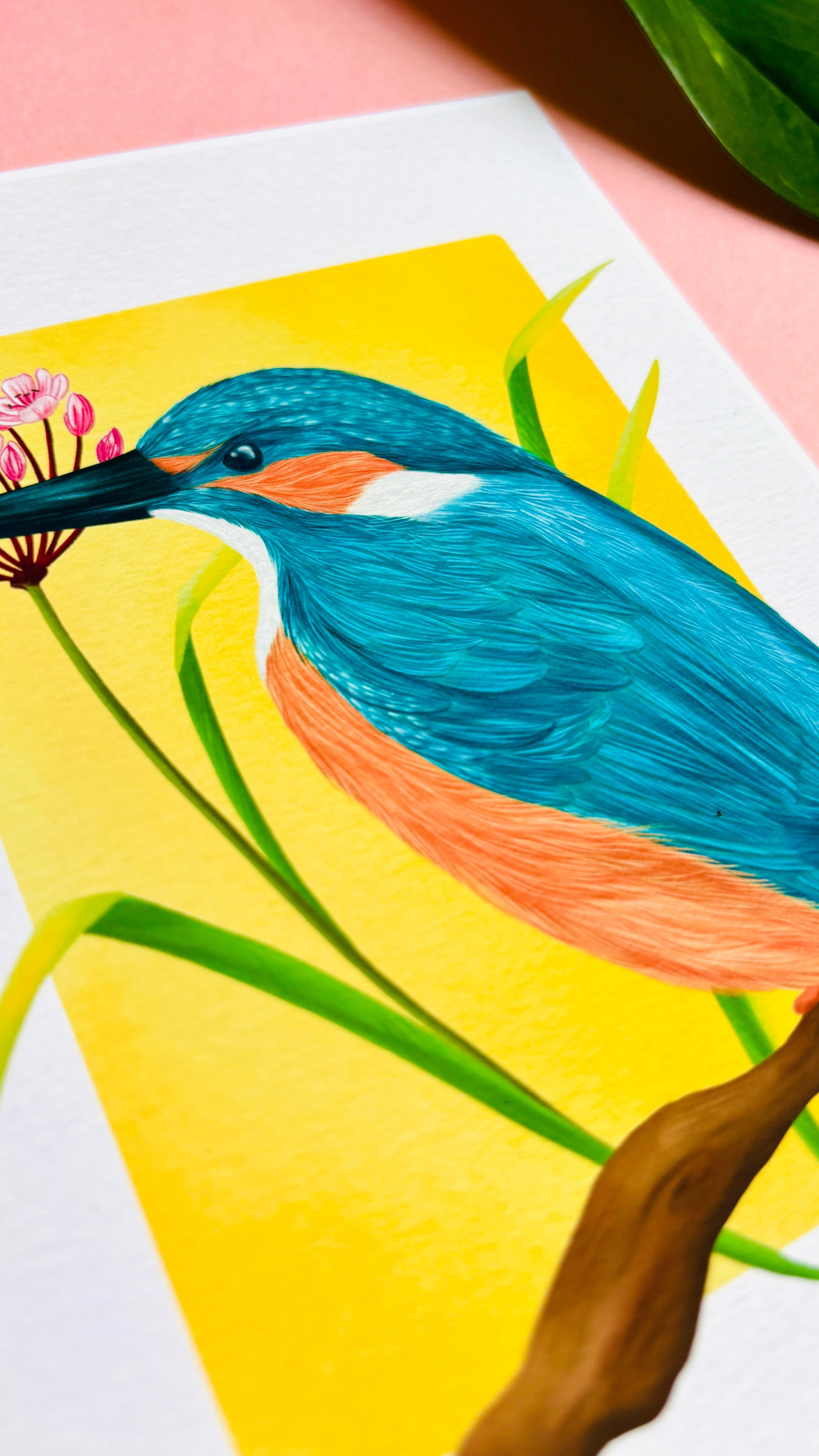 Kingfisher Wildlife and Botanical Art Print British Birds Wall Art