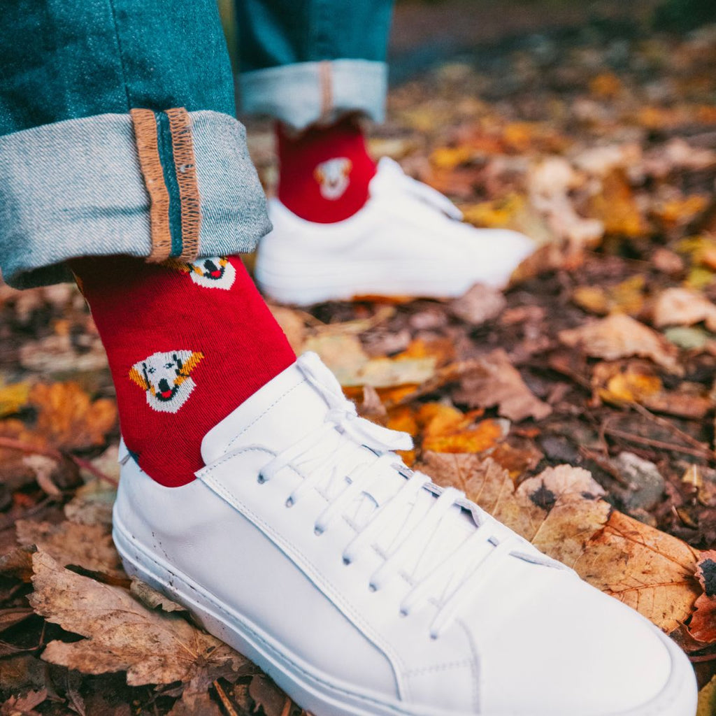Sustainable Bamboo Socks Made to Last
