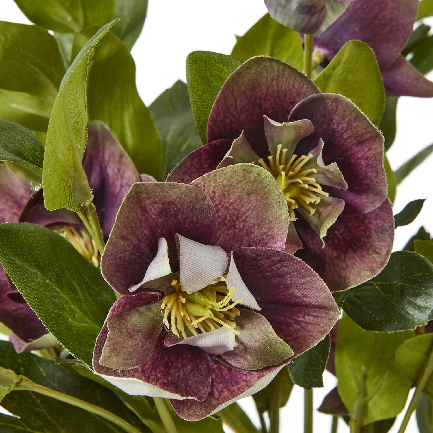 Lifelike plum faux hellebore in taupe ceramic pot, ultra-realistic plastic blooms and foliage for home decor by sostter at brixbailey.com