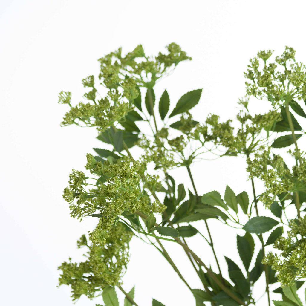 Artificial cow parsley stem with white blooms and green foliage, 100cm tall, realistic wildflower decor by sostter at brixbailey.com