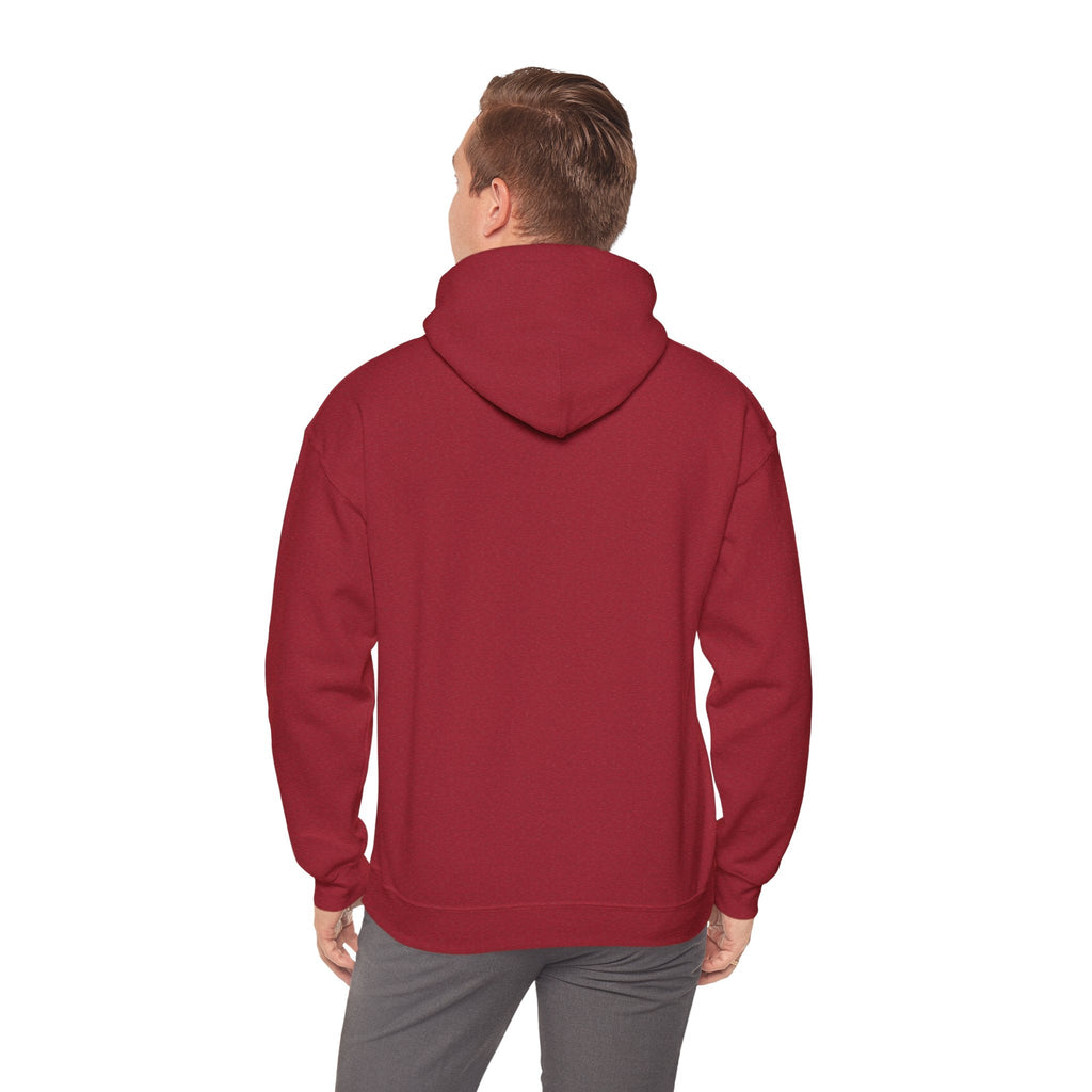Money Can't Buy Happiness But It Can Buy Vinyl Men's Hoodie
