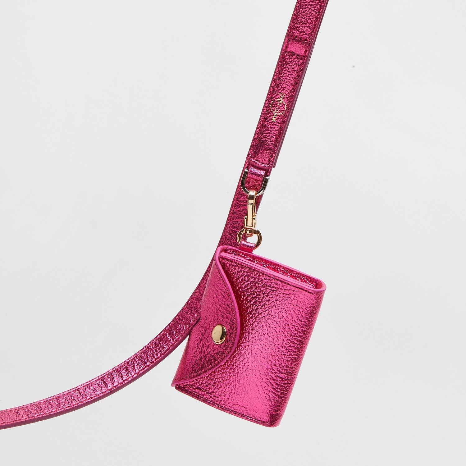 Leather Lead Collar and Pocket Set