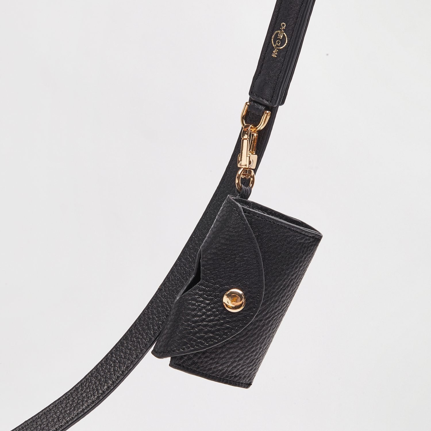 Leather Lead Collar and Pocket Set