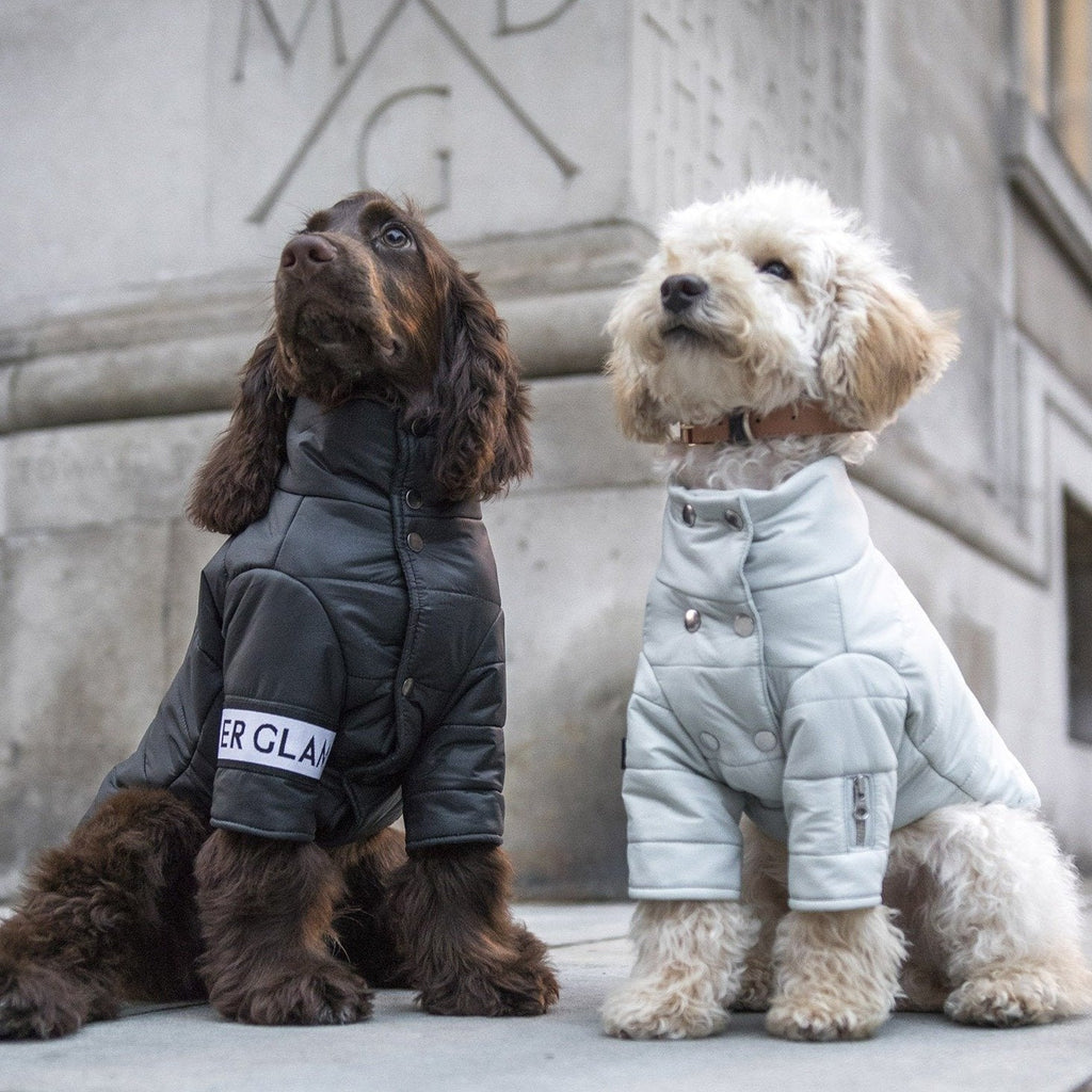 Button Up Puffer Jacket