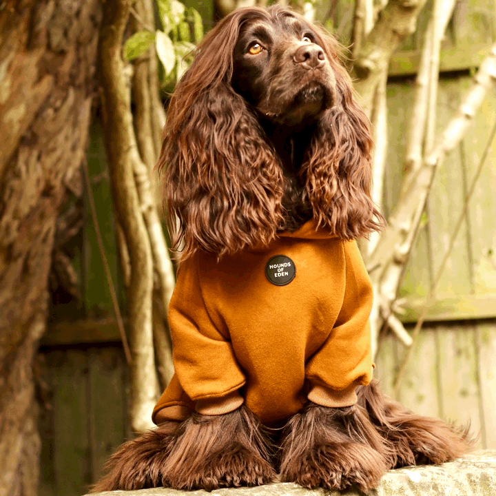 Dog Hoodie - Olive Green