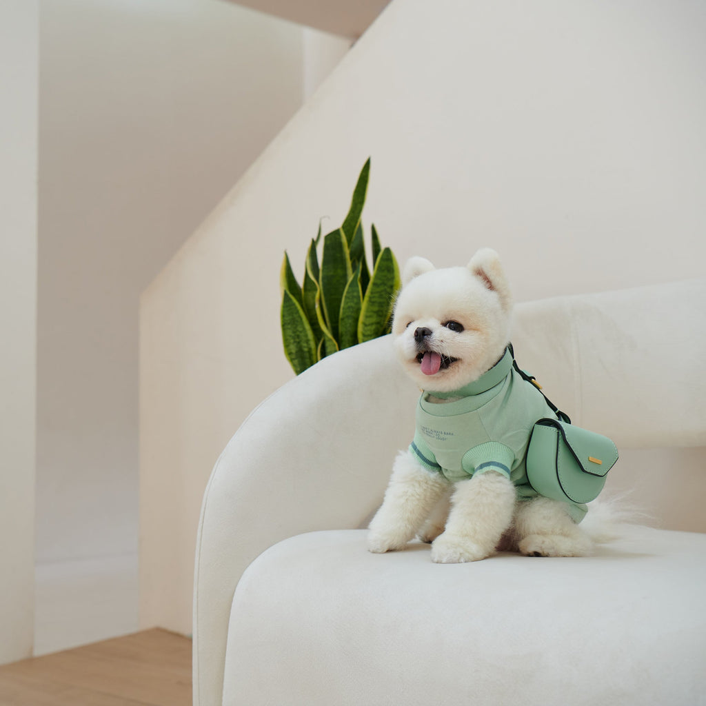 Puppy Pouch Harness