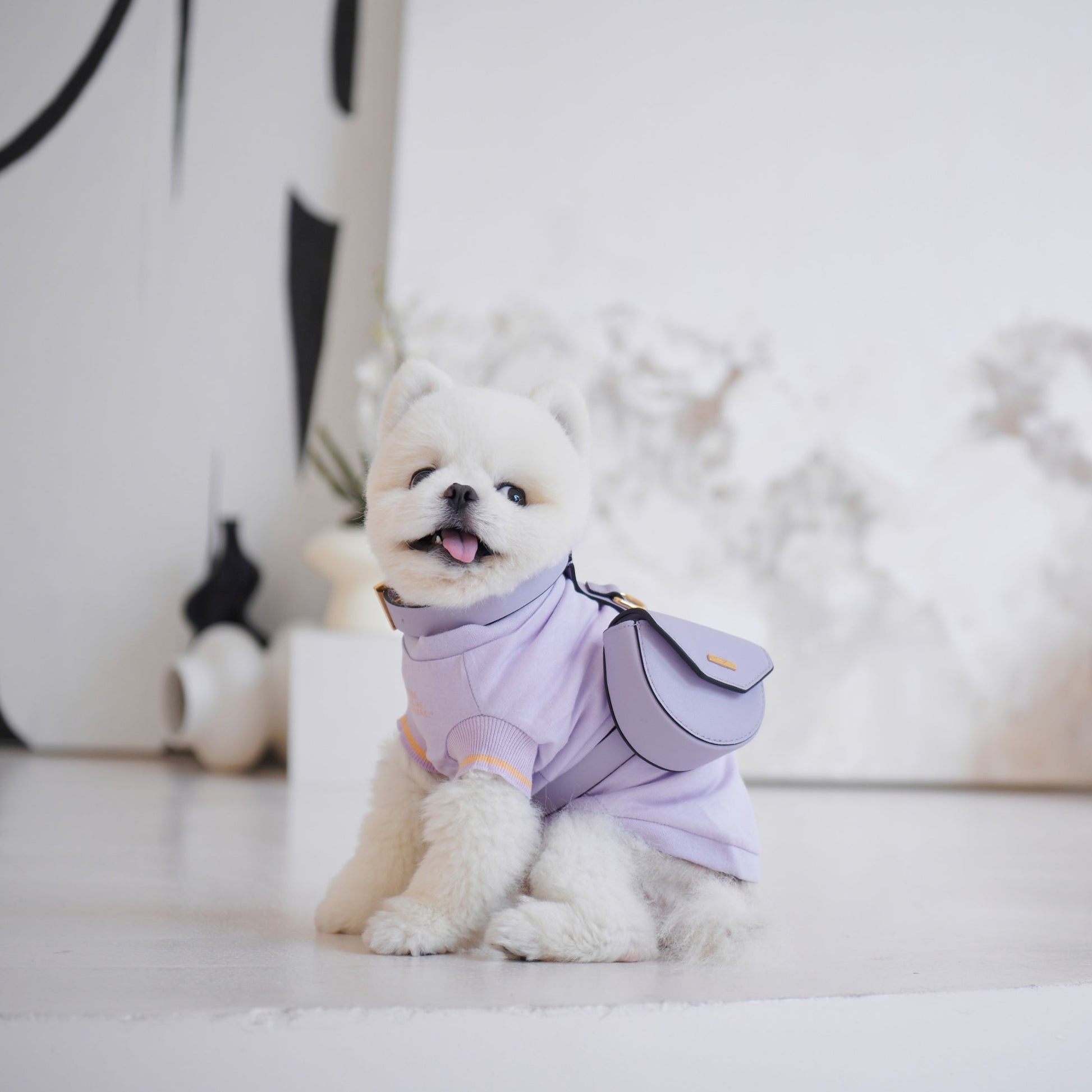 Puppy Pouch Harness