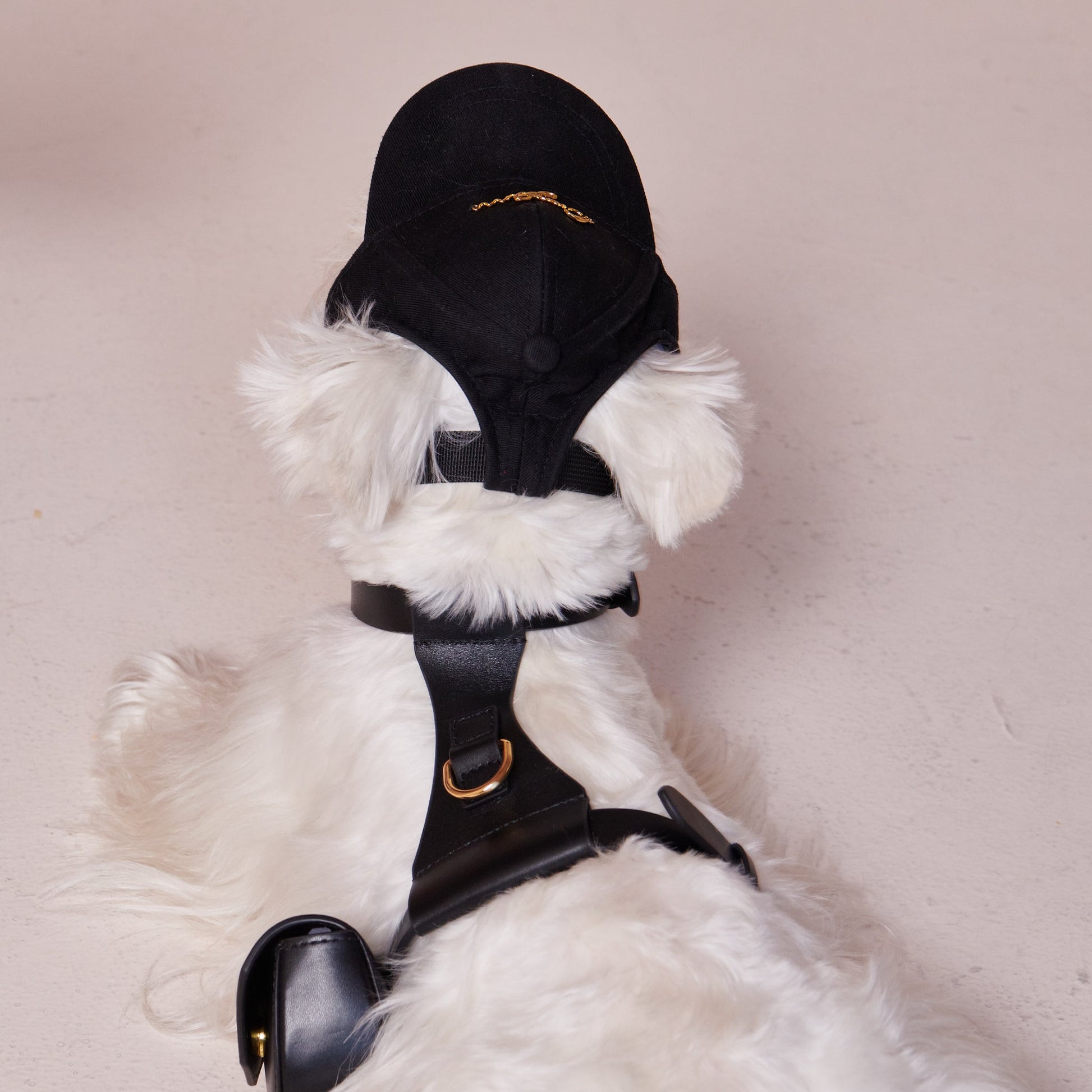 Puppy Pouch Harness