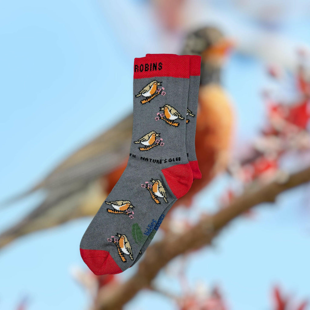 Chirpy Robin Organic Cotton Kids Socks
