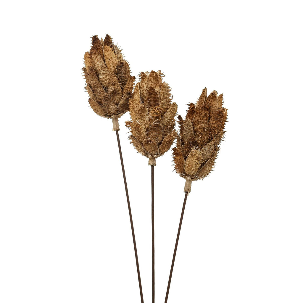 Dried Protea bouquet in earthy tones, hand-selected preserved flowers for elegant home decor centerpiece. by Sostter at brixbailey.com