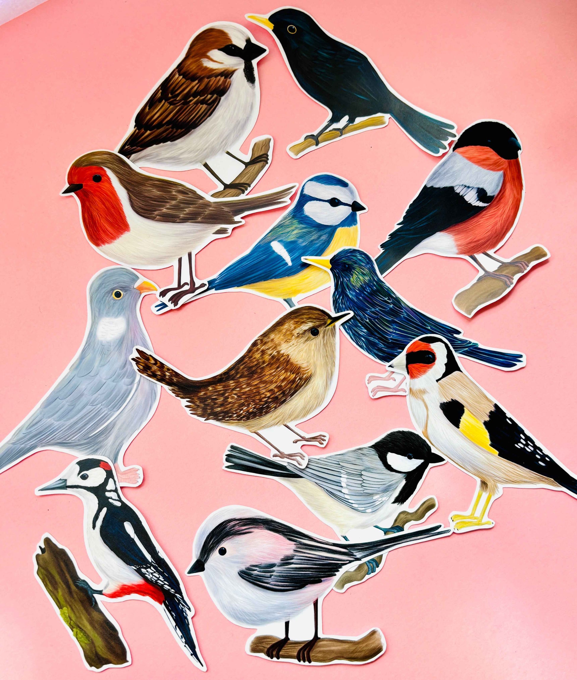 Garden Birds 10cm Vinyl Stickers Nature Inspired Waterproof Decals
