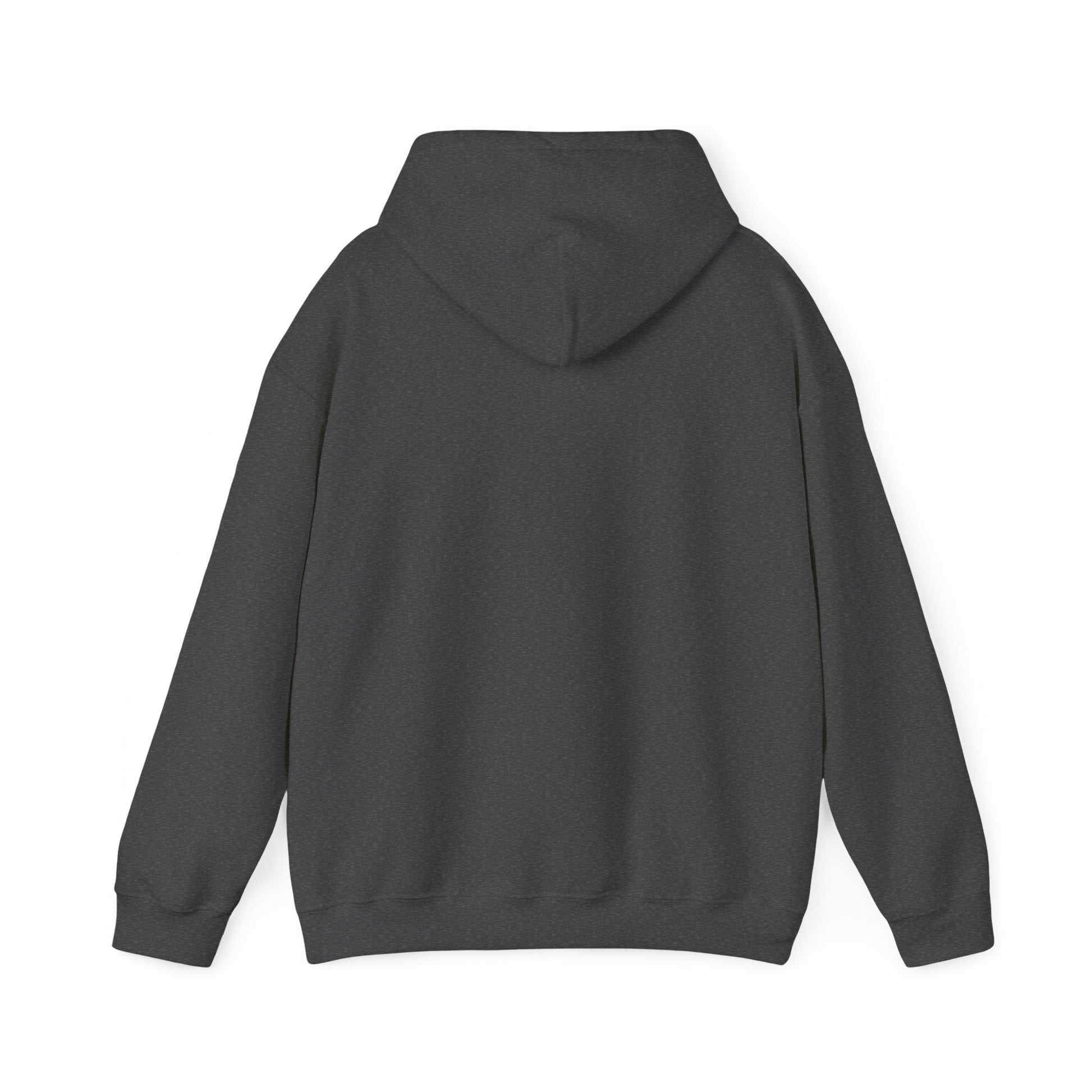 Vinyl Records Are Groovy Men's Hoodie
