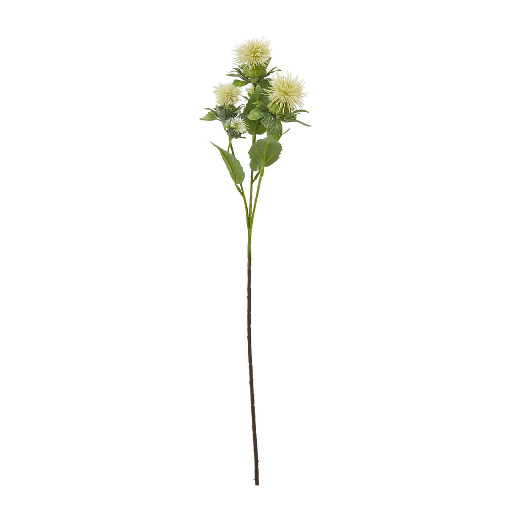 Cream safflower spray with lifelike spherical blooms and realistic foliage, perfect for modern or traditional home decor. by sostter at brixbailey.com