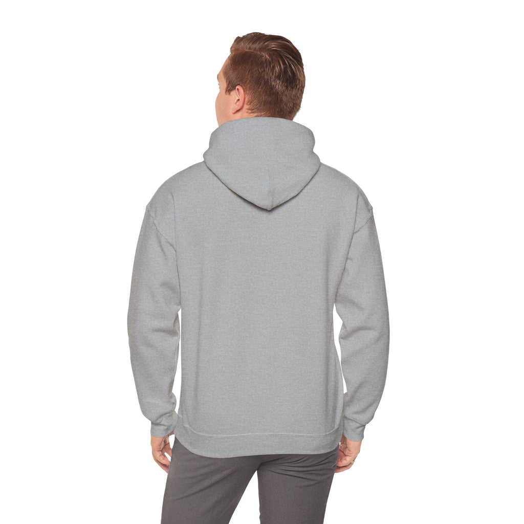 Money Can't Buy Happiness But It Can Buy Vinyl Men's Hoodie