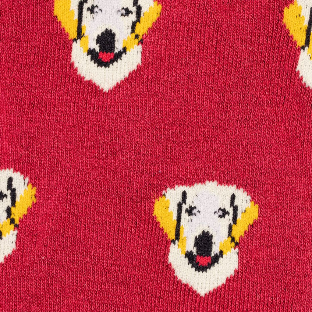 Sustainable Bamboo Socks Made to Last