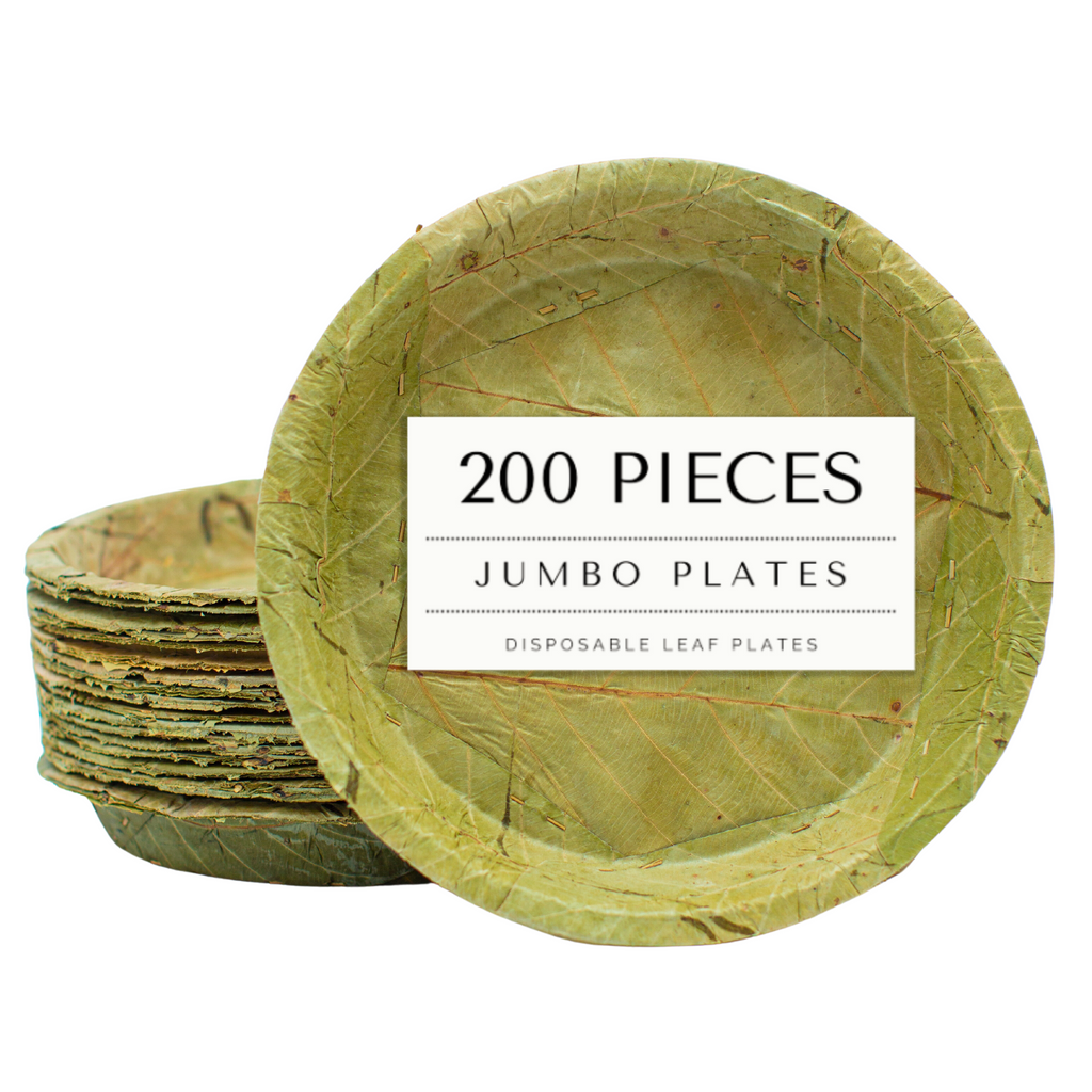 Extra Large Sal Leaf Plates 27cm Natural Disposable Pack of 20