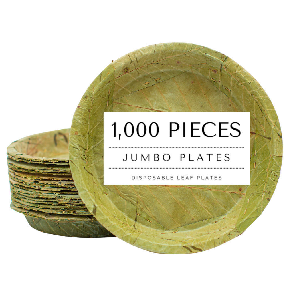 Extra Large Sal Leaf Plates 27cm Natural Disposable Pack of 20