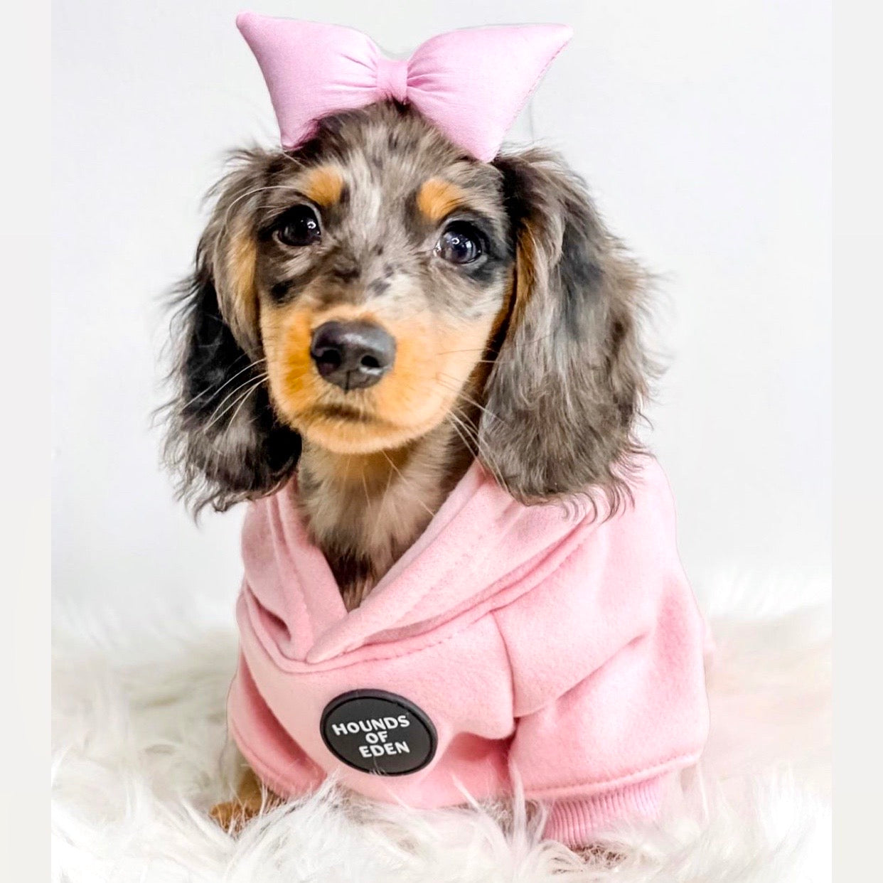 Dog Hoodie - Brown