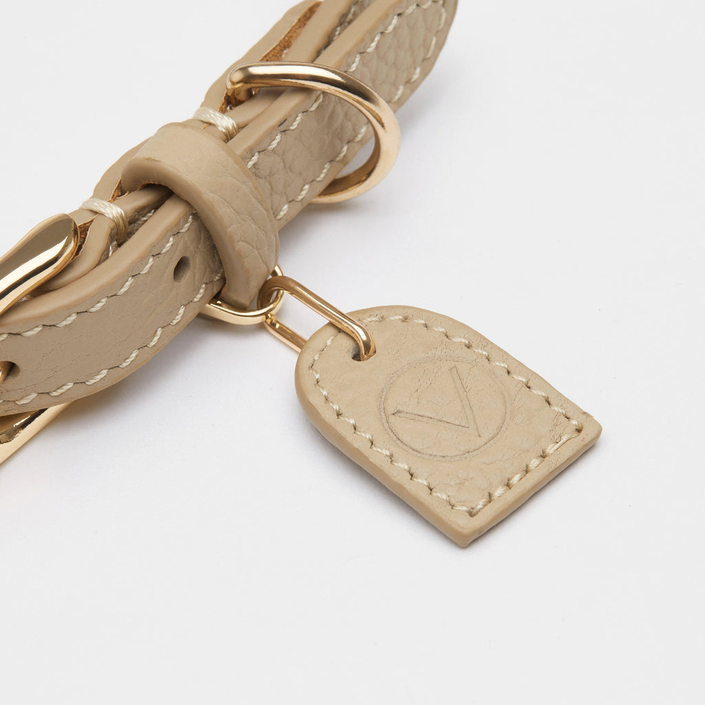 Leather Collar with Gold and Silver Hardware