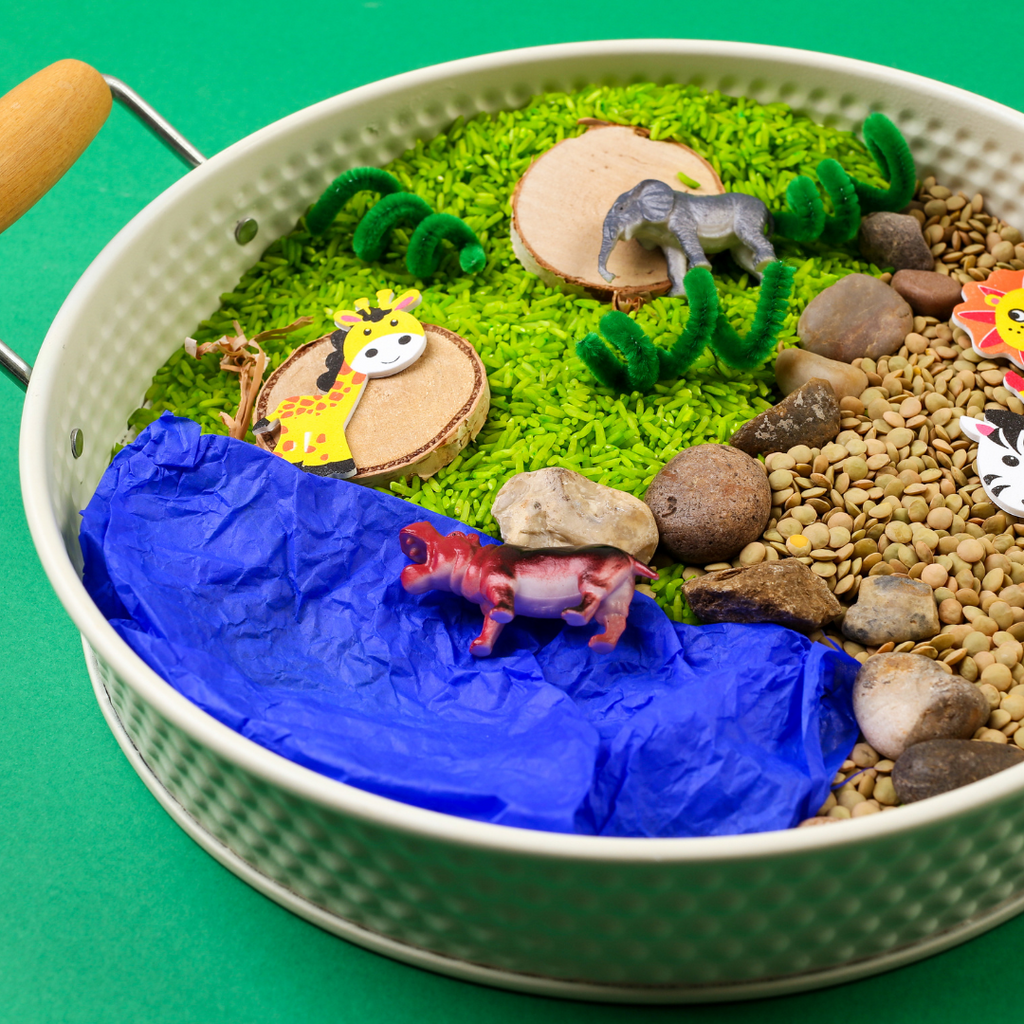 Safari Sensory Play Kit for Kids