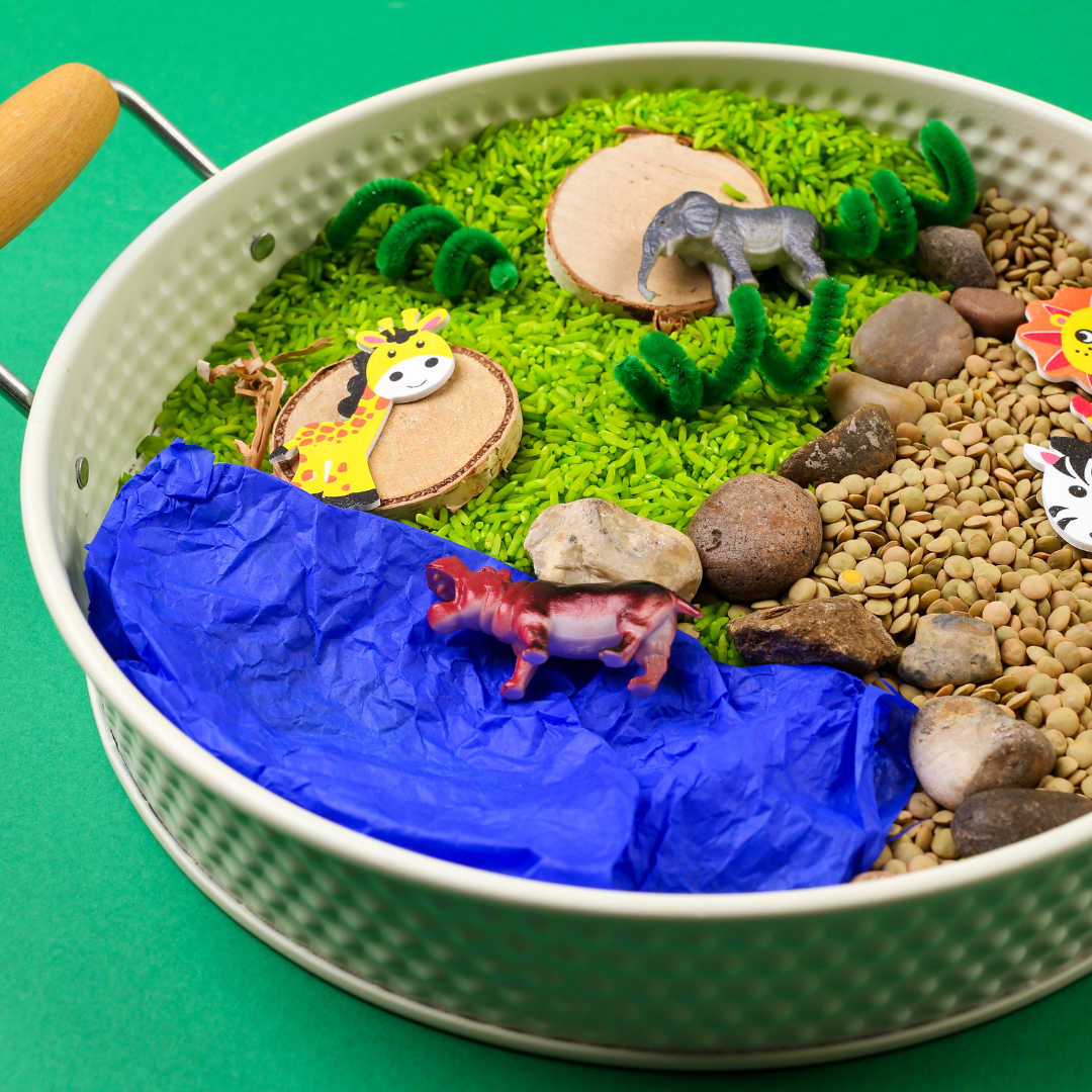 Safari Sensory Play Kit for Kids