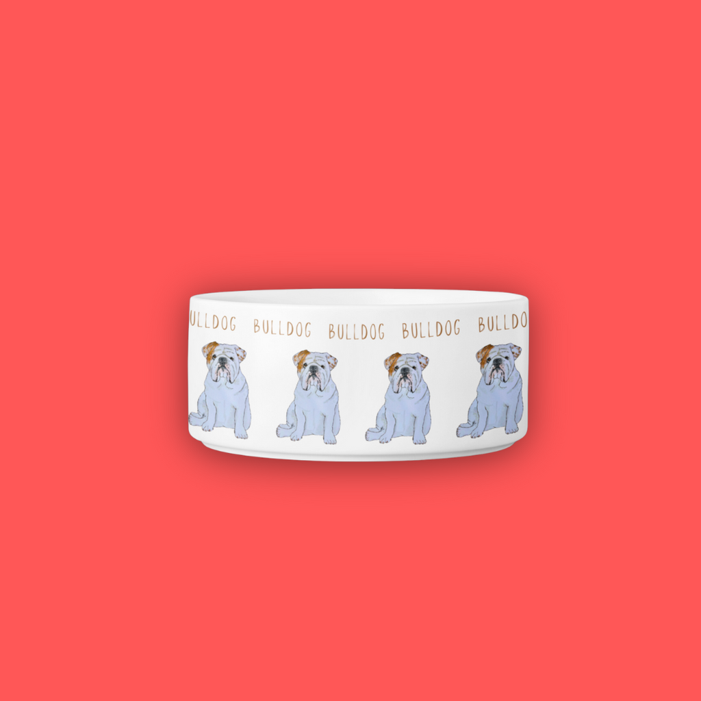 Heavyweight Ceramic Dog Bowl