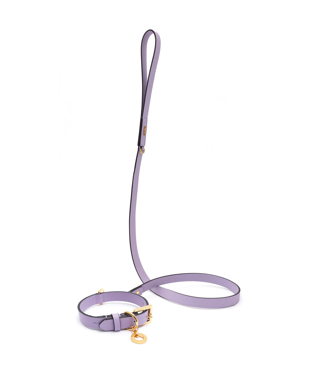 Premium Leather Lead and Collar Set