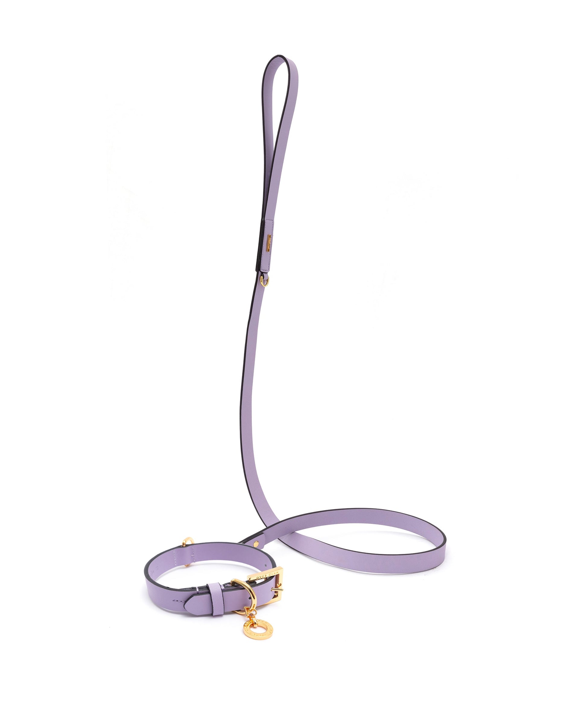 Premium Leather Lead and Collar Set